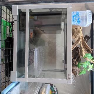 中古パンテオンが無料 格安で買える ジモティー