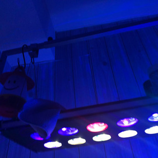 海水魚　システムLED アクアサンライズプラスR90
