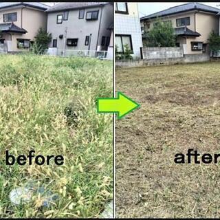 🌱🌱除草致します🌱🌱