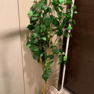 【ネット決済】観葉植物　フェイクグリーン　160cm フィカス・...