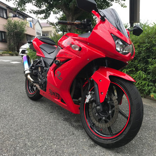 【ネット決済】Kawasaki ninja 250r 赤　カワサ...