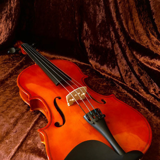 Primera PVA-80 ビオラ本体(弓、ケース付き) Primera PVA-80 ビオラ本体(弓、ケース付き) Primera PVA-80 ビオラ