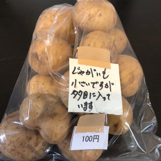 新じゃが（小）お得700g  10袋→完売