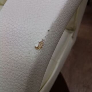 【愛品倶楽部柏店】　Ｐｈｏｅｎｉｘ　フェニックス　ダイニングチェア２脚セット　キャスター、肘付　回転式　ミディアムブラウン