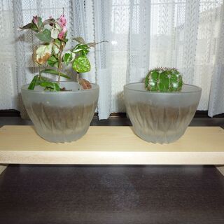 ★手作りミニ置物台　と　ミニ植木２個（ハツユキカズラとサボテン）...