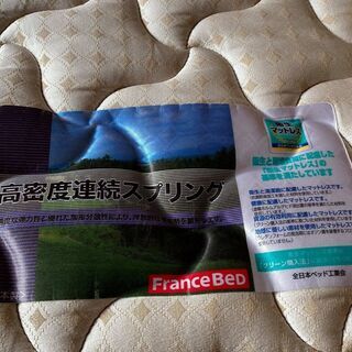 FRANCEBED クイーンベッド、引き出し・ライト付き、良品 幅170cm