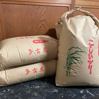 令和2年産多古米コシヒカリ30kg玄米
