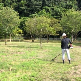 草刈・伐採作業の補助スタッフ募集♪