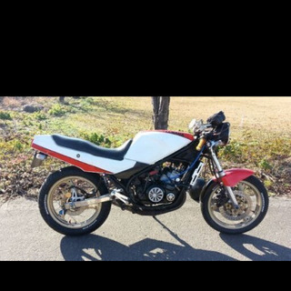 Rz250r ジャンク品です。