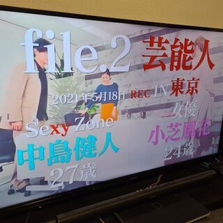 アイリスオーヤマグラストリマー用 替ブレード 10枚入24箱セット