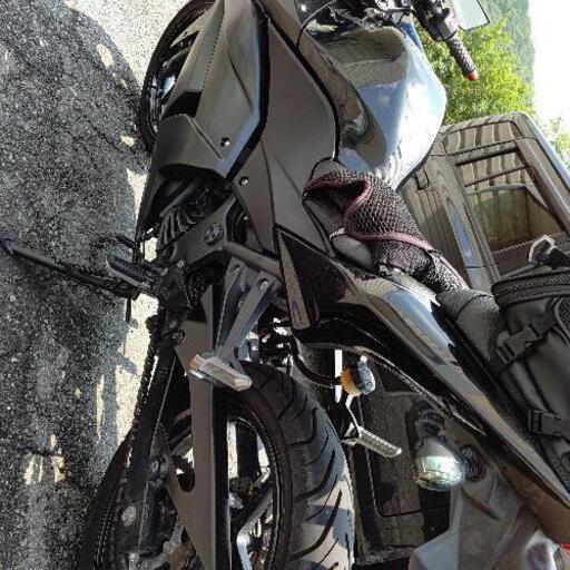 NINJA250r バイク250 400ccクラス交換可能 カワサキ（KAWASAKI）2010年