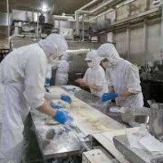 パンのにおいに囲まれたパン工場での製造補助 - 宝塚市