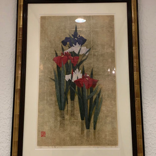 杉浦和利さん　菖蒲 杉浦和利さん 菖蒲