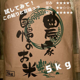 【希少価値】食べてみて北海道米っ！令和2年産　おぼろづき　5kg