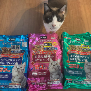 取引決定　キャットフード（猫は付きません）