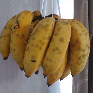 無農薬島バナナ