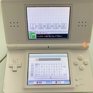 【値下げします】ニンテンドーDS Lite クリスタルホワイト本体 任天堂 Nintendo - 渋谷区