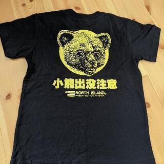 小熊出没注意のTシャツ