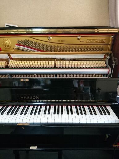 フローラピアノ(アールウィンザー)W115