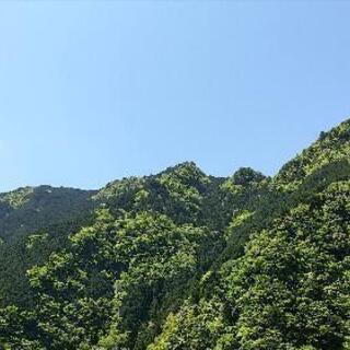 一緒に山登りを しましょう！😊