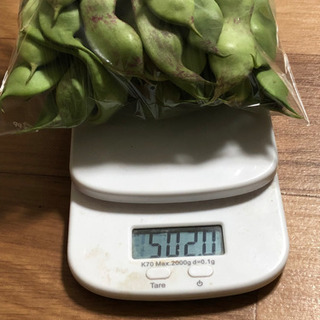 【ネット決済】新鮮野菜　モロッコ豆　豆