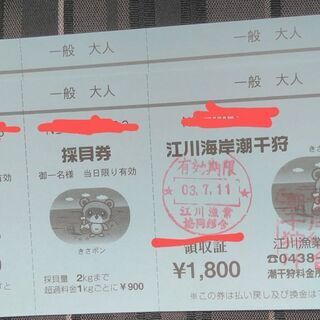 【ネット決済・配送可】お買い得価格!江川海岸潮干狩りチケット