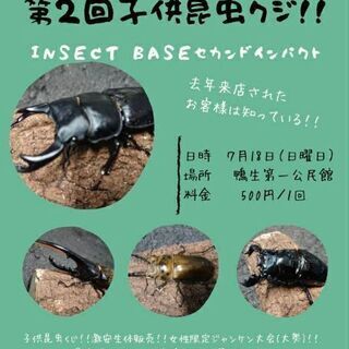 insectbase 7月18日‼️おかげさまで一周年‼️第２回...