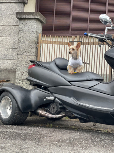 中華トライク 中華トライク