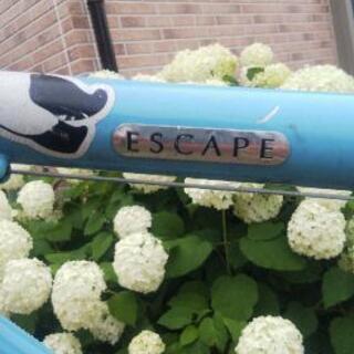 GIANT ESCAPE R3.1