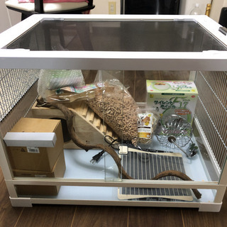 ❤起動が速くブラウジングもさくさくスムーズ❣大容量ストレージ搭載♪❤タブレット ❤起動が速くブラウジングもさくさくスムーズ❣大容量ストレージ搭載