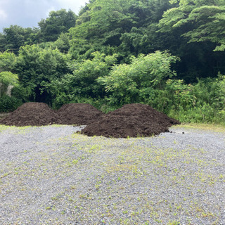 庭の整地作業