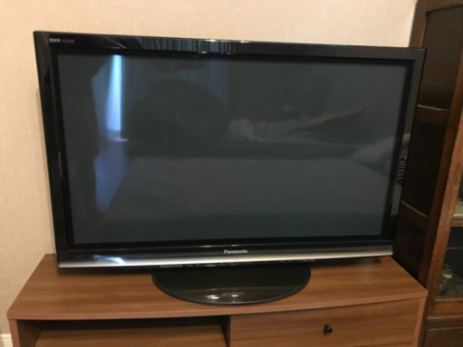【取引交渉中！】Panasonic VIERA TH-P42R1 プラズマテレビ