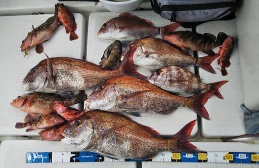 岡山児島下津井 瀬戸大橋周辺の船釣り 遊漁船 釣太郎 鯛ラバ 太刀魚 ジギングなど カメチ 倉敷のその他のイベント参加者募集 無料掲載の掲示板 ジモティー