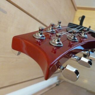 PRS SE　CUSTOM　２４F