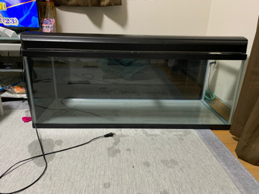 ガラス水槽　熱帯魚