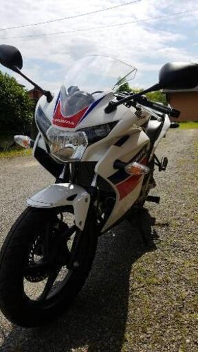 CBR125低走行美車❗️