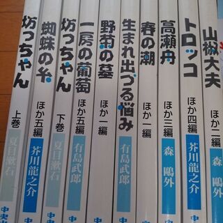 中央出版　名作シリーズ本まとめての価格です　値下げしました