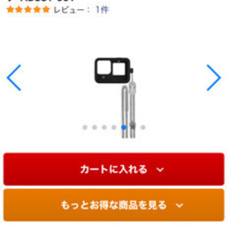 【ネット決済】GoPro ADSST-001