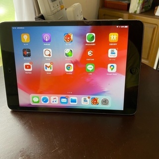 iPadmini2