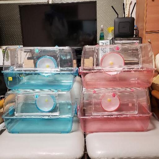 ルーミィ ４個