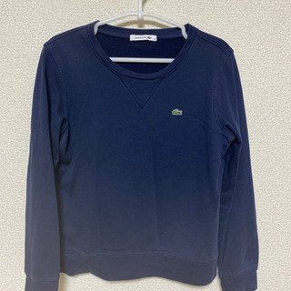 LACOSTE レディース　38 トレーナー