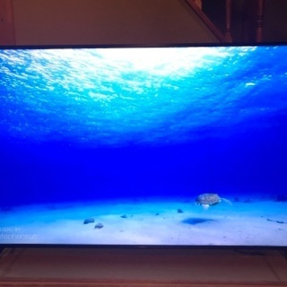 オリジナル商品 ソニー 75型4KKJ-75X8000H ジャンク品 www.esn-spain.org