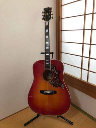 Morrisのハミングバードです。