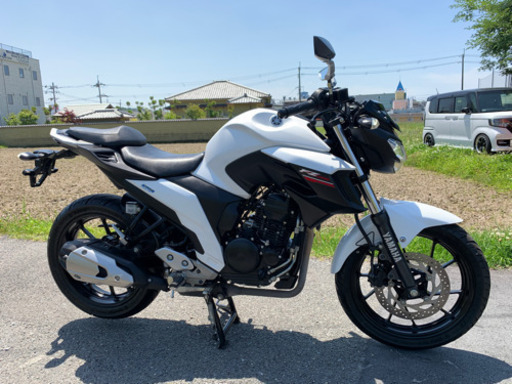 ヤマハFZ250‼️ストリートファイター‼️美車‼️