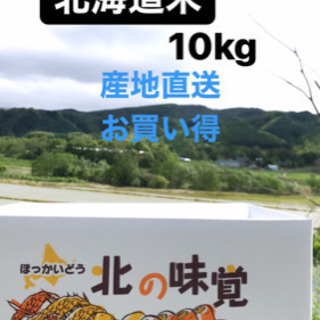 お値下げ中！人気の北海道米10kg  産地直送ななつぼし
