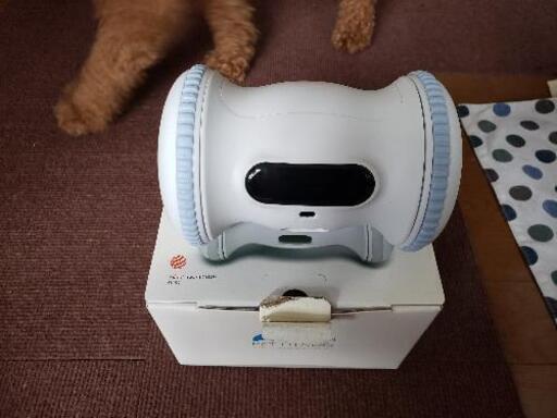 ペットフィットネス(専用ロボット)
