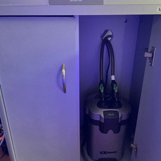 海水魚水槽一式（生態含む）