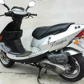 爆安原付二種 PGOのT-REX125 無料配送特典あり