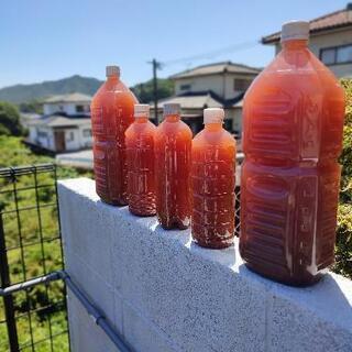 PSB光合成細菌600ml