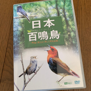 野鳥DVD